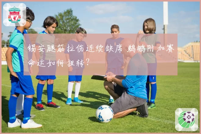 锡安腿筋拉伤连续缺席 鹈鹕附加赛命运如何扭转？
