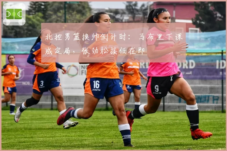 北控男篮换帅倒计时:马布里下课成定局,张劲松接任在即