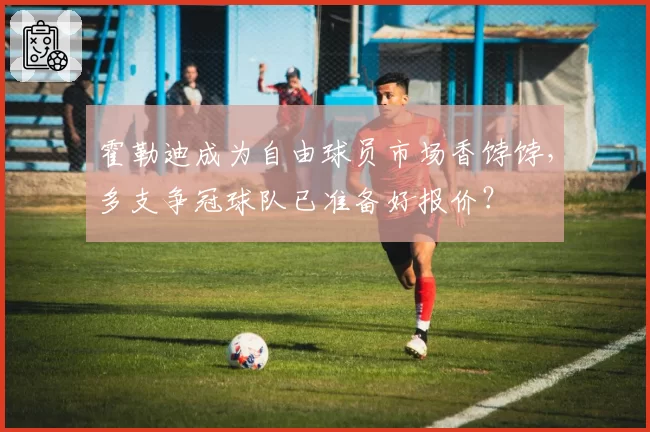 霍勒迪成为自由球员市场香饽饽，多支争冠球队已准备好报价？
