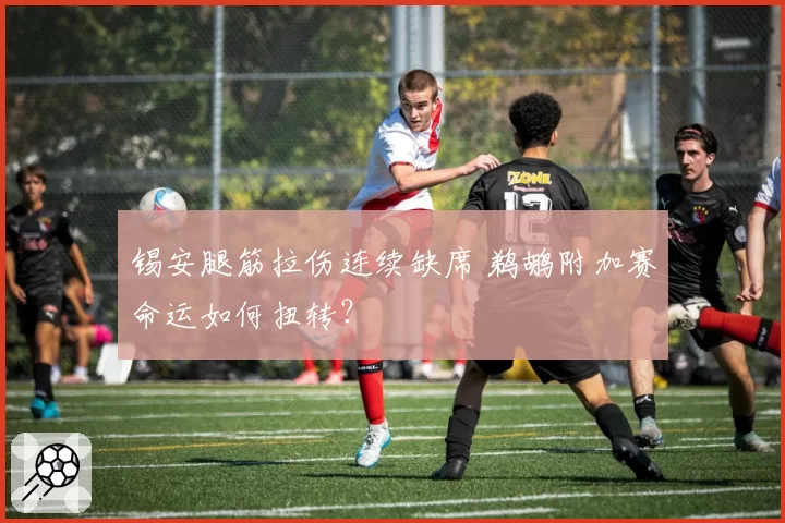 锡安腿筋拉伤连续缺席 鹈鹕附加赛命运如何扭转？